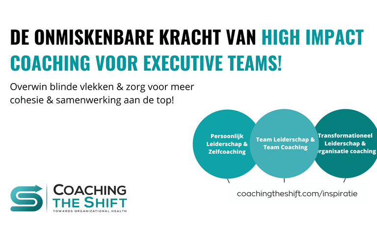 Executive team coaching top management