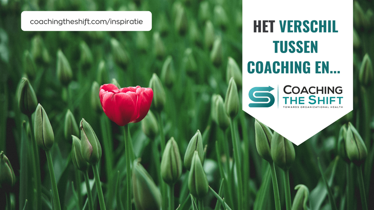 verschil coaching en consulting, mentoring, training
