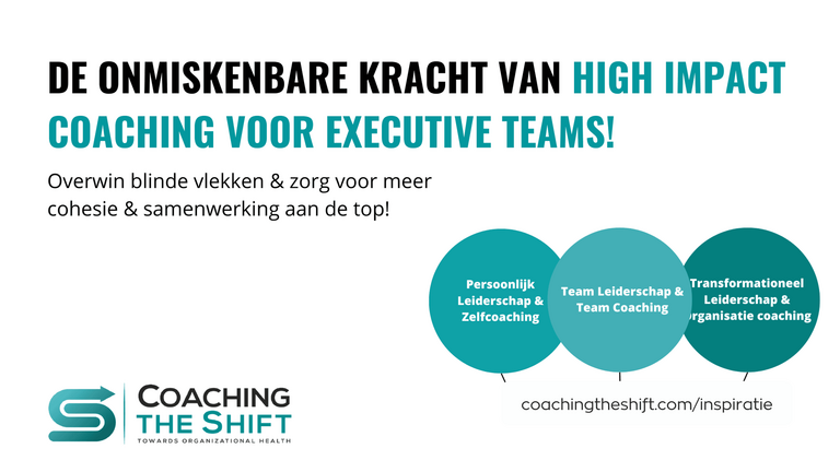 Executive team coaching top management