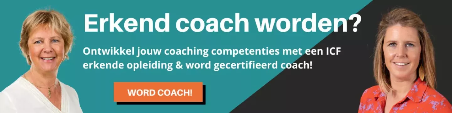 Blog – visual – erkend coach worden