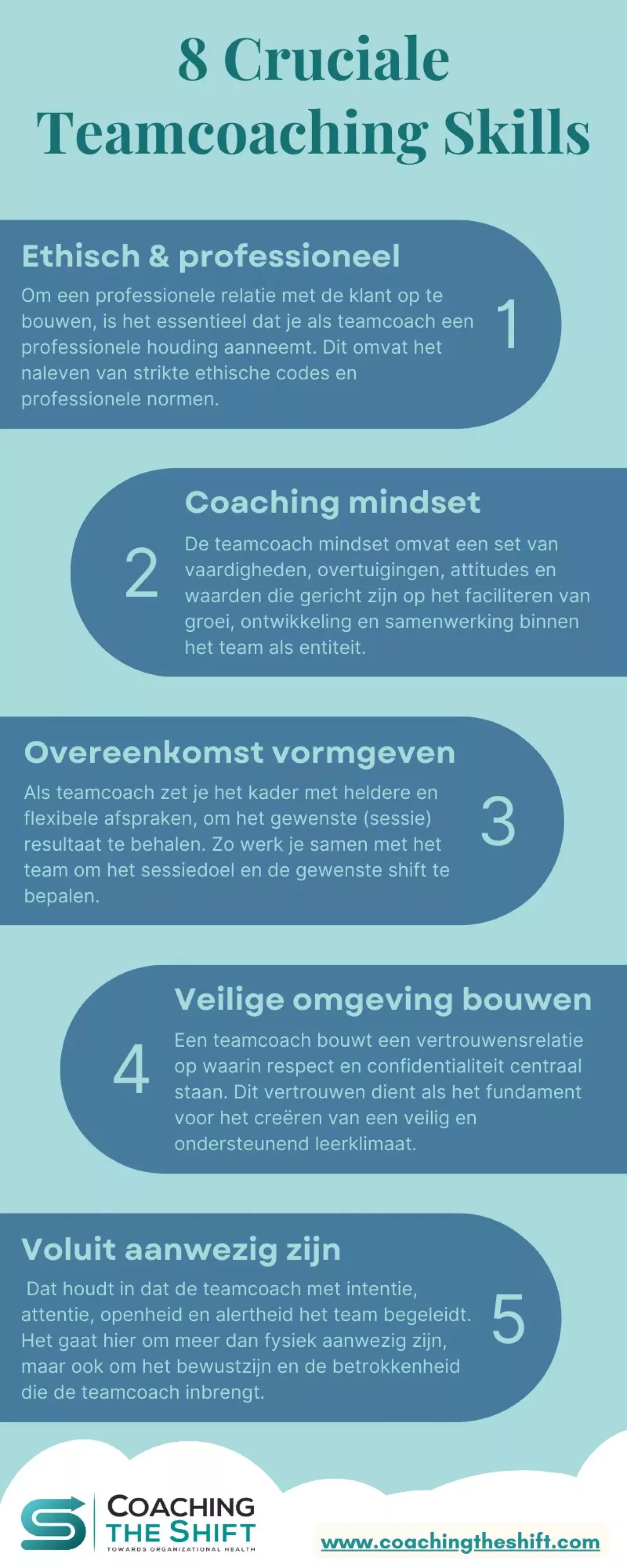 blog-visual-8 cruciale teamcoaching skills