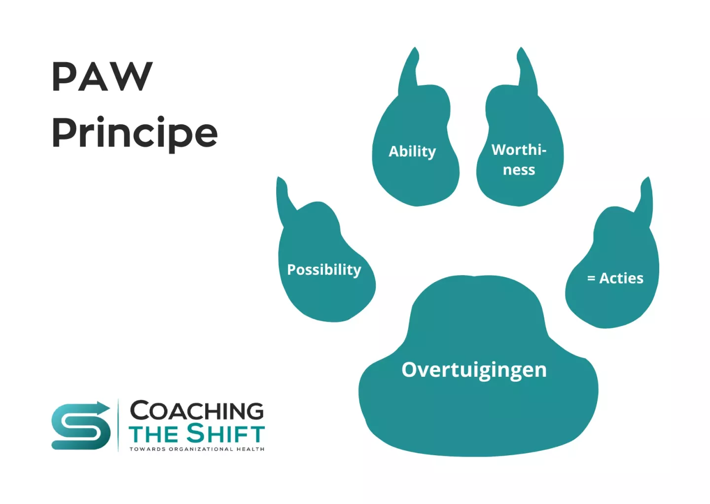 blog-visual-paw principe afbeelding